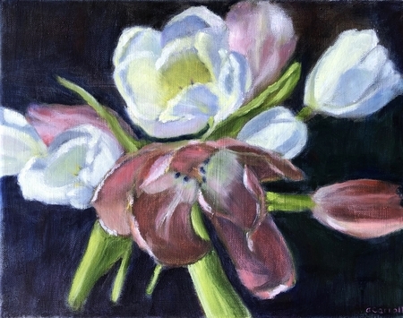Tulips #2