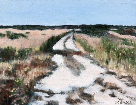 Nantucket Moor Road