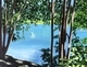 Quiet Scene on Whistler Path