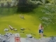 A Sooke Pothole