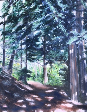 Play of Light on Whistler Path