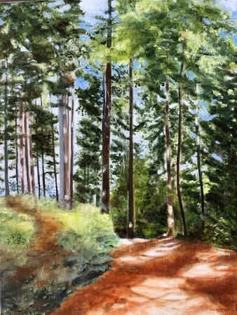 North Van Forest Walk