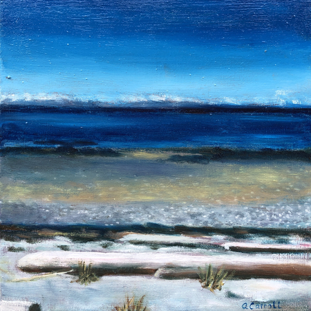 Hernando Island Vista