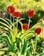 Spring is here #3
