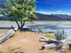 Spanish Banks Quiet Spot