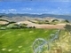 Farmland Near Vernon