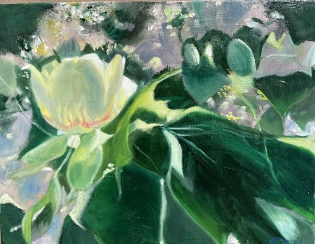 Tulip Tree Delight